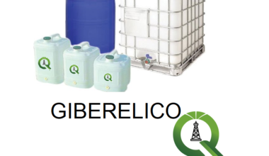 ACIDO GIBERELICO
